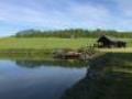 Pronjem chaty - Chabrovice, 